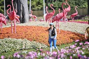 BIB: 
                            <button type="button" onclick="openModal(27793275)" class="btn btn-primary btn-sm float-right btn-popup" data-toggle="modal" data-target=".modal-high-quality">
                        <i class="fas fa-shopping-cart"></i> Add to Cart
                    </button>
                                            <button type="button" onclick="isThisMe(27793275, true)" class="btn btn-success btn-sm float-right btn-popup btn-isme hidden" data-toggle="tooltip" data-placement="bottom" title="นี่คือรูปของคุณใช่ไหม คลิกที่นี่เพื่อเอาเข้าอัลบั้ม">
                        <i class="fas fa-plus"></i> Add to album
                    </button>
                    <button type="button" onclick="isThisMe(27793275, false)" class="btn btn-warning btn-sm float-right btn-popup btn-isnotme hidden">
                        <i class="fas fa-ban"></i> Remove from album
                    </button>